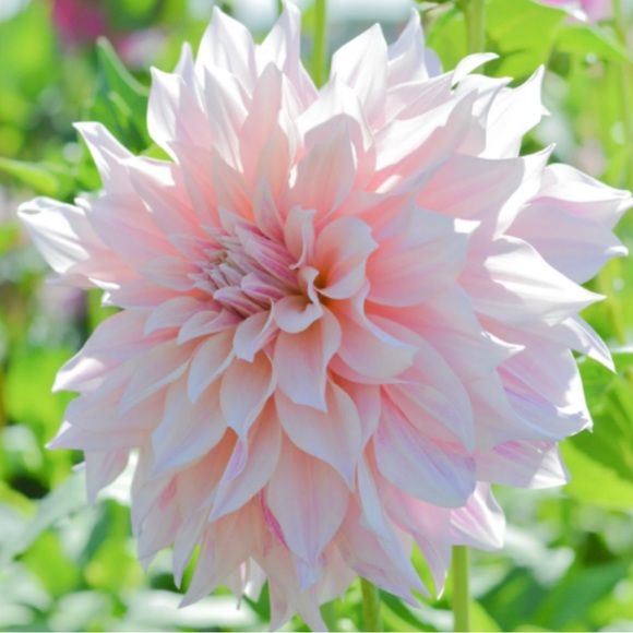 We’ll Soon Be Welcoming Summer 2024! 🦋🌸🌞 🛍️ 💫✨🎉 - Picture 10 of 16